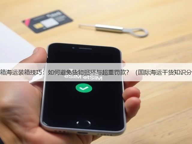 集装箱海运装箱技巧:如何避免货物损坏与超重罚款?(国际海运干货知识分享)(图3) 集装箱海运装箱技巧:如何避免货物损坏与超重罚款?(国际海运干货知识分享)(图3)