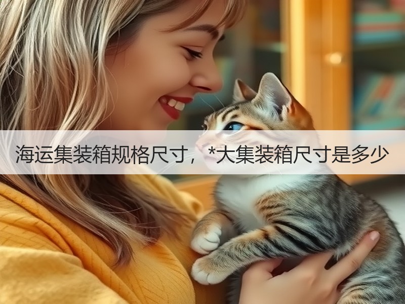 海运集装箱规格尺寸，*大集装箱尺寸是多少