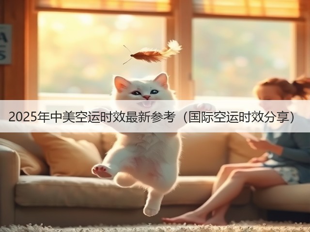 2025年中美空运时效最新参考（国际空运时效分享）(图3)