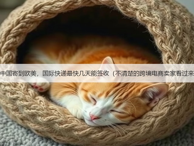 从中国寄到欧美,国际快递最快几天能签收(不清楚的跨境电商卖家看过来)(图3) 从中国寄到欧美,国际快递最快几天能签收(不清楚的跨境电商卖家看过来)(图3)