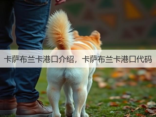 卡萨布兰卡港口介绍,卡萨布兰卡港口代码(图1) 卡萨布兰卡港口介绍,卡萨布兰卡港口代码(图1)