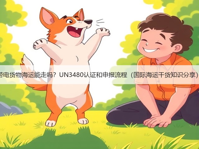 带电货物海运能走吗?UN3480认证和申报流程(国际海运干货知识分享)(图1) 带电货物海运能走吗?UN3480认证和申报流程(国际海运干货知识分享)(图1)