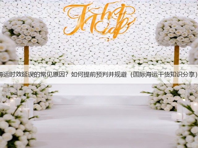 海运时效延误的常见原因？如何提前预判并规避（国际海运干货知识分享）(图3)