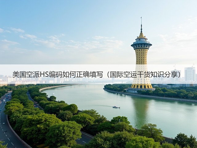 美国空派HS编码如何正确填写(国际空运干货知识分享)(图3) 美国空派HS编码如何正确填写(国际空运干货知识分享)(图3)