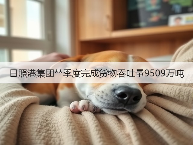 日照港集团**季度完成货物吞吐量9509万吨(图1)