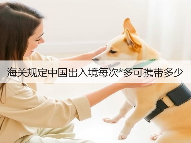 海关规定中国出入境每次*多可携带多少(图2)