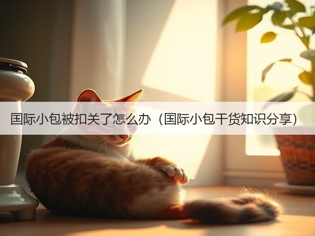 国际小包被扣关了怎么办（国际小包干货知识分享）(图1)