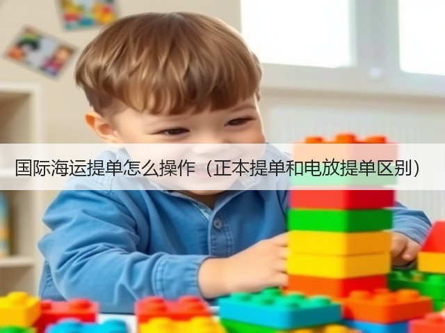 国际海运提单怎么操作(正本提单和电放提单区别)(图1) 国际海运提单怎么操作(正本提单和电放提单区别)(图1)