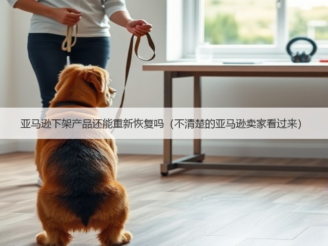 亚马逊下架产品还能重新恢复吗（不清楚的亚马逊卖家看过来）(图1)