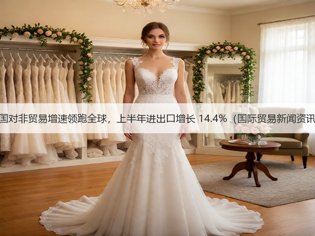 中国对非贸易增速领跑全球,上半年进出口增长 14.4%(国际贸易新闻资讯)(图3) 中国对非贸易增速领跑全球,上半年进出口增长 14.4%(国际贸易新闻资讯)(图3)