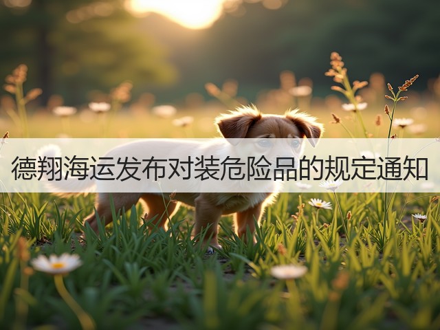德翔海运发布对装危险品的规定通知(图3)