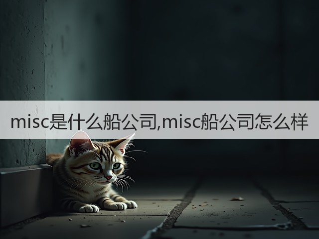 misc是什么船公司,misc船公司怎么样(图1)