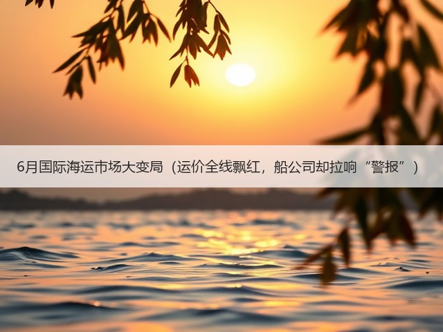 6月国际海运市场大变局（运价全线飘红，船公司却拉响“警报”）(图1)