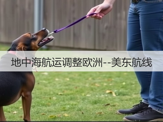 地中海航运调整欧洲--美东航线(图1)