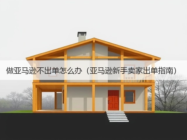做亚马逊不出单怎么办（亚马逊新手卖家出单指南）(图3)