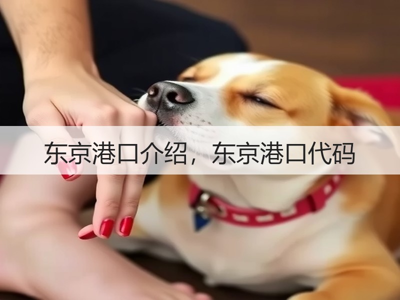 东京港口介绍，东京港口代码