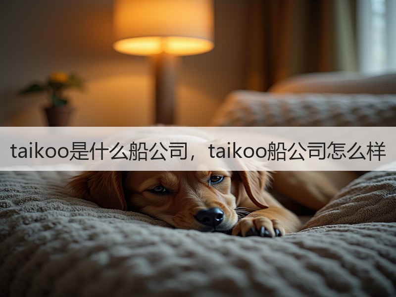 taikoo是什么船公司，taikoo船公司怎么样