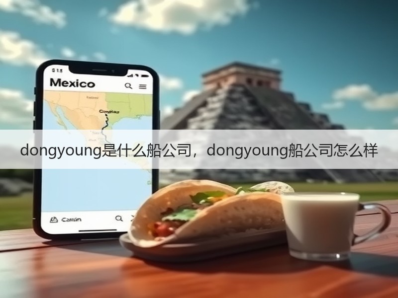 dongyoung是什么船公司，dongyoung船公司怎么样