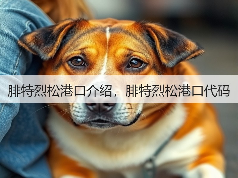 腓特烈松港口介绍，腓特烈松港口代码