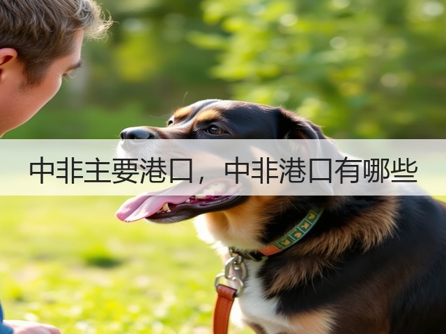 中非主要港口，中非港口有哪些(图2)
