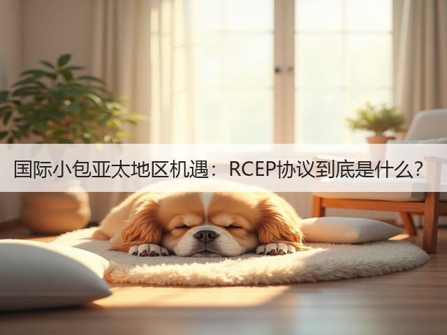 国际小包亚太地区机遇:RCEP协议到底是什么?(图1) 国际小包亚太地区机遇:RCEP协议到底是什么?(图1)