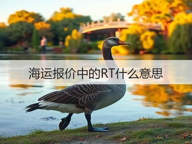 海运报价中的RT什么意思(图1)