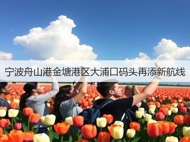 宁波舟山港金塘港区大浦口码头再添新航线(图3)