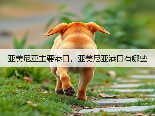 亚美尼亚主要港口，亚美尼亚港口有哪些(图1)