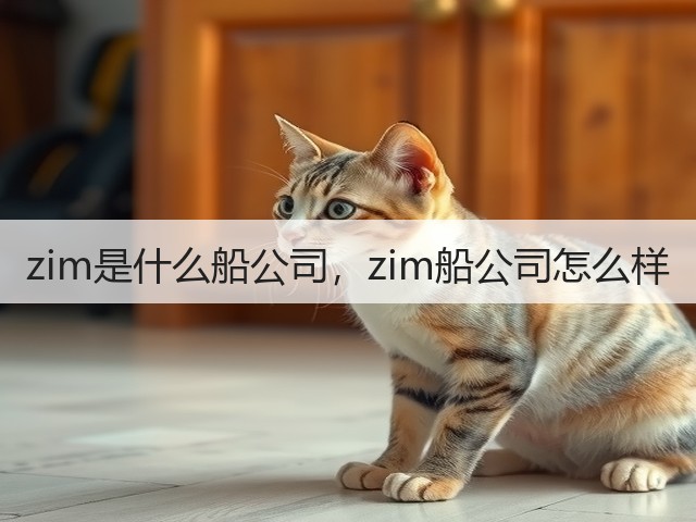 zim是什么船公司,zim船公司怎么样(图1) zim是什么船公司,zim船公司怎么样(图1)