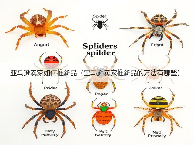 亚马逊卖家如何推新品（亚马逊卖家推新品的方法有哪些）(图3)