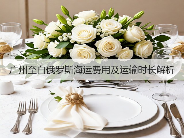 广州至白俄罗斯海运费用及运输时长解析(图3) 广州至白俄罗斯海运费用及运输时长解析(图3)