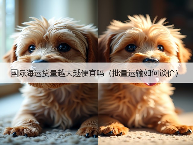 国际海运货量越大越便宜吗(批量运输如何谈价)(图3) 国际海运货量越大越便宜吗(批量运输如何谈价)(图3)
