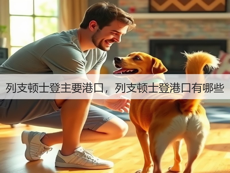 列支顿士登主要港口，列支顿士登港口有哪些