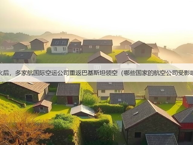 印巴停火后,多家航国际空运公司重返巴基斯坦领空(哪些国家的航空公司受影响最大)(图3) 印巴停火后,多家航国际空运公司重返巴基斯坦领空(哪些国家的航空公司受影响最大)(图3)