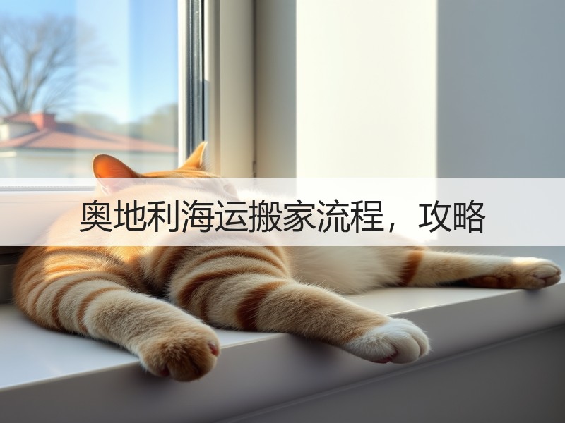 奥地利海运搬家流程，攻略