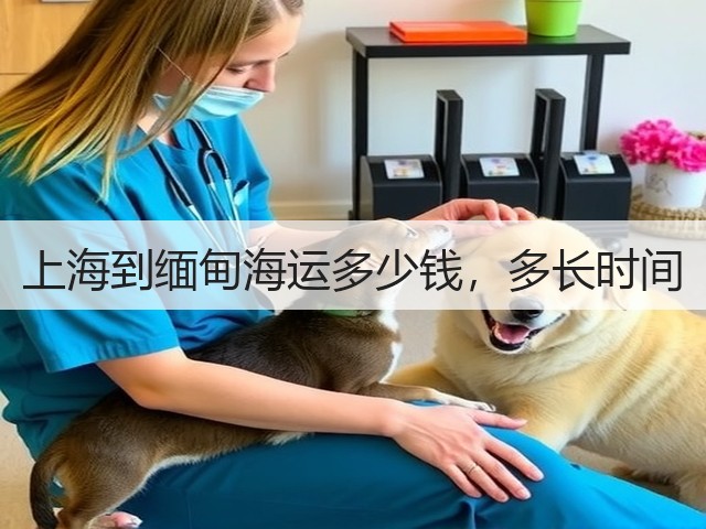 上海到缅甸海运多少钱，多长时间(图3)