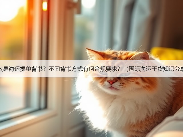 什么是海运提单背书？不同背书方式有何合规要求？（国际海运干货知识分享）(图1)