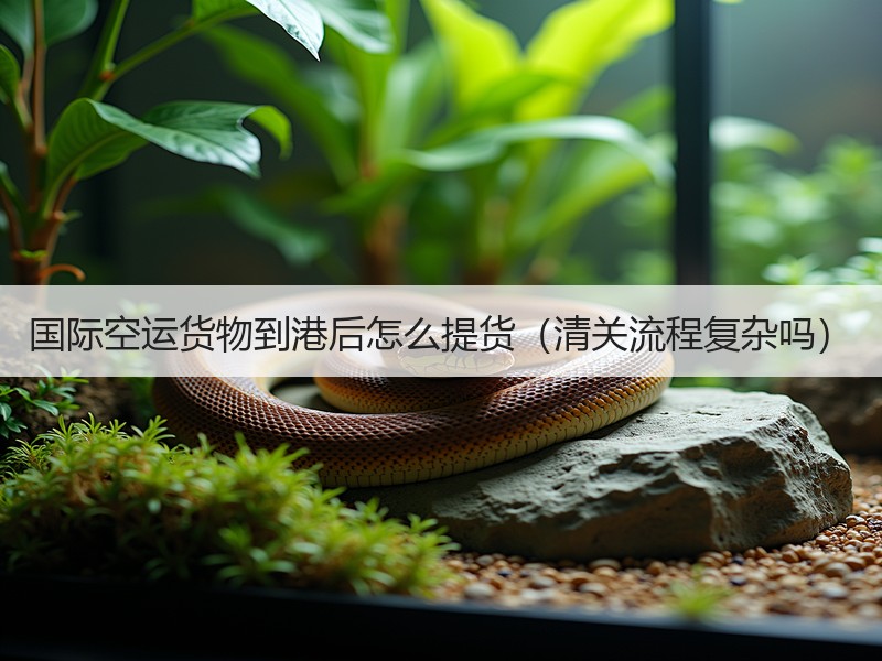 国际空运货物到港后怎么提货（清关流程复杂吗）