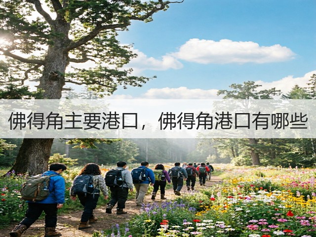 佛得角主要港口，佛得角港口有哪些(图3)