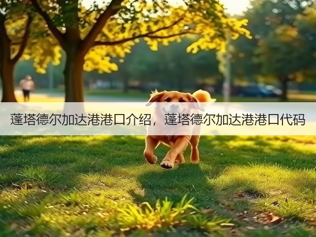 蓬塔德尔加达港港口介绍,蓬塔德尔加达港港口代码(图2) 蓬塔德尔加达港港口介绍,蓬塔德尔加达港港口代码(图2)