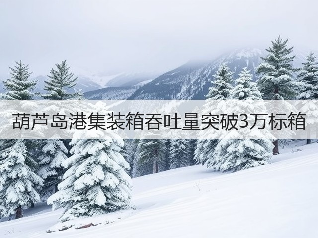 葫芦岛港集装箱吞吐量突破3万标箱(图3)