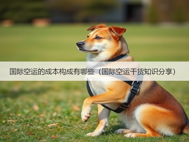 国际空运的成本构成有哪些(国际空运干货知识分享)(图2) 国际空运的成本构成有哪些(国际空运干货知识分享)(图2)