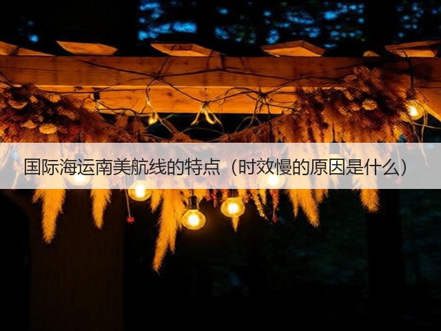 国际海运南美航线的特点(时效慢的原因是什么)(图3) 国际海运南美航线的特点(时效慢的原因是什么)(图3)