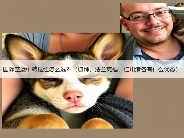 国际空运中转枢纽怎么选?(迪拜、法兰克福、仁川港各有什么优势)(图1) 国际空运中转枢纽怎么选?(迪拜、法兰克福、仁川港各有什么优势)(图1)
