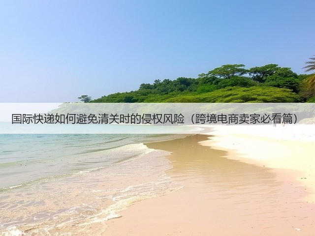 国际快递如何避免清关时的侵权风险（跨境电商卖家必看篇）(图2)