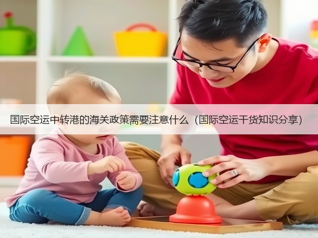 国际空运中转港的海关政策需要注意什么(国际空运干货知识分享)(图1) 国际空运中转港的海关政策需要注意什么(国际空运干货知识分享)(图1)