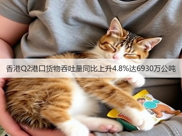 香港Q2港口货物吞吐量同比上升4.8%达6930万公吨(图3) 香港Q2港口货物吞吐量同比上升4.8%达6930万公吨(图3)