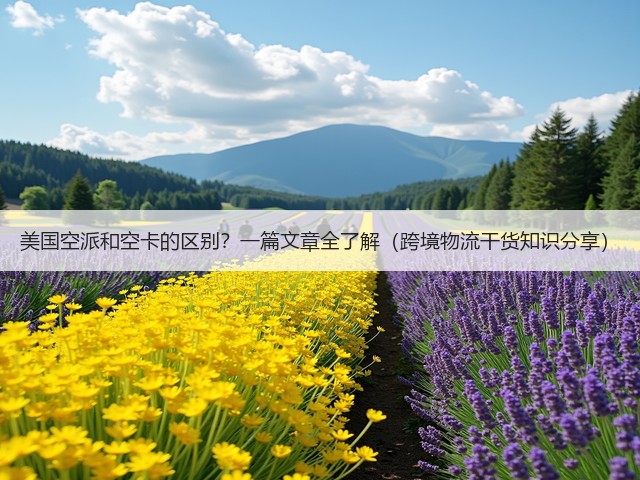 美国空派和空卡的区别？一篇文章全了解（跨境物流干货知识分享）(图1)