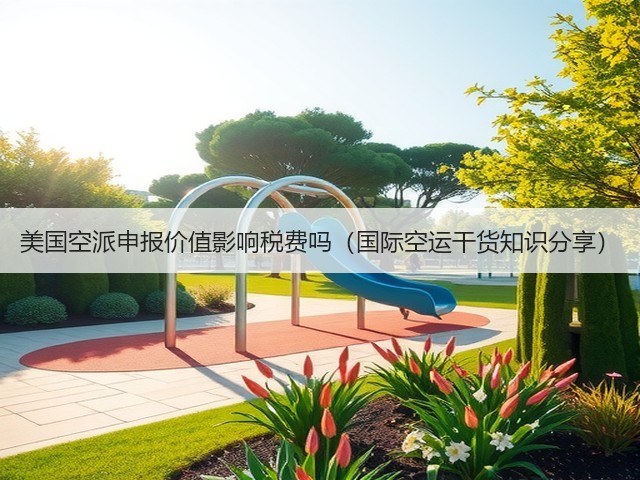 美国空派申报价值影响税费吗(国际空运干货知识分享)(图3) 美国空派申报价值影响税费吗(国际空运干货知识分享)(图3)