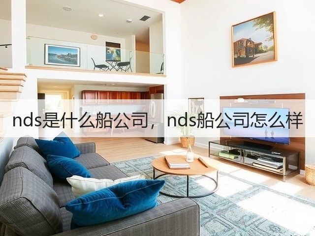 nds是什么船公司，nds船公司怎么样(图2)